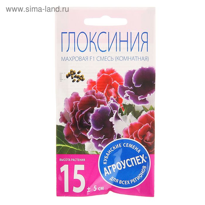 Финиковая пальма в одном горшке Финиковая пальма в одном горшке