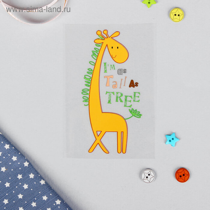 трансфер жираф