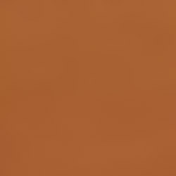 описание_картинки