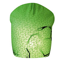 описание_картинки