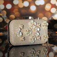 вечерняя сумка