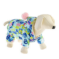 описание_картинки