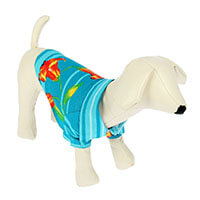 описание_картинки