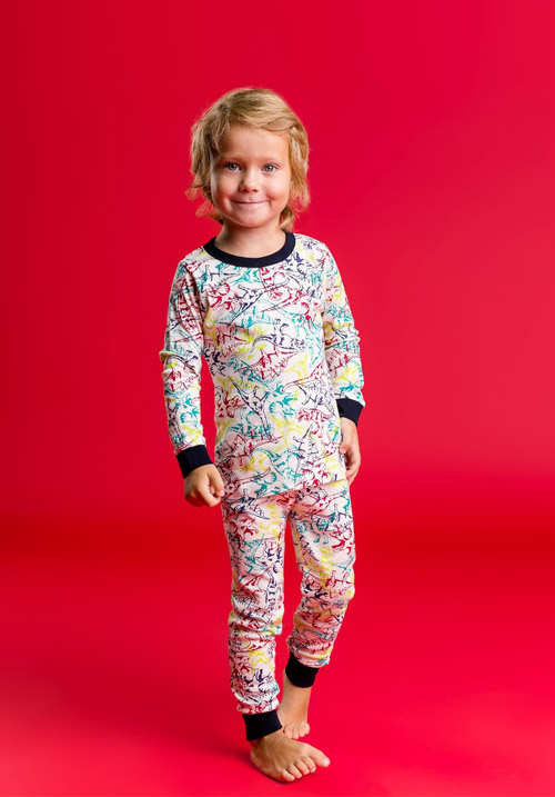 описание_картинки