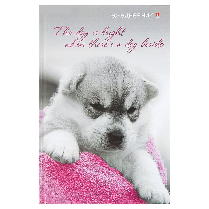 ежедневник