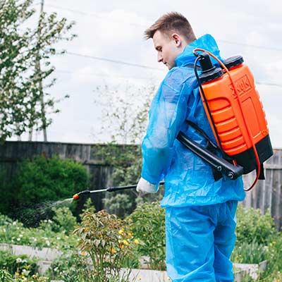 Опрыскиватель ранцевый