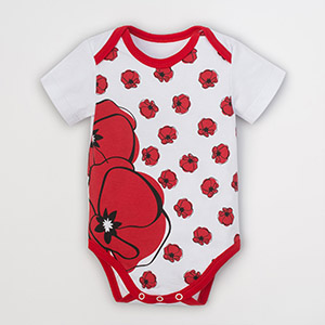 описание_картинки