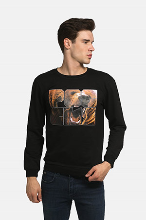 описание_картинки