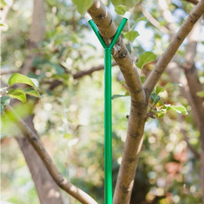 Опора для ветвей