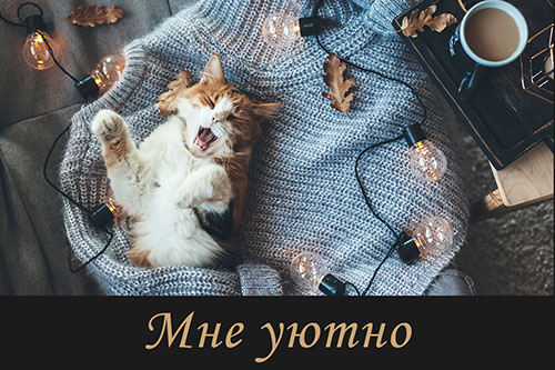 Крем с лошадиным маслом