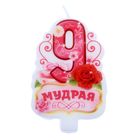 Свеча в торт цифра 9 "Мудрая" Свеча в торт цифра 9 "Мудрая"