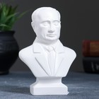 Статуэтка "Бюст Путина" малая, белая Статуэтка "Бюст Путина" малая, белая