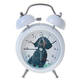 описание_картинки