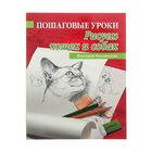 Пошаговые уроки рисования "Рисуем кошек и собак" Пошаговые уроки рисования "Рисуем кошек и собак"