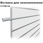 Вставка для экономпанели белая, L=120см Вставка для экономпанели белая, L=120см