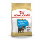 Сухой корм RC Yorkshire Terrier Junior для щенков йоркширского терьера, 500 г Сухой корм RC Yorkshire Terrier Junior для щенков йоркширского терьера, 500 г
