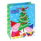 Пакет подарочный "Пеппа зимой", 23 х 18 х 10 см, Peppa Pig Пакет подарочный "Пеппа зимой", 23 х 18 х 10 см, Peppa Pig