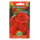 Семена Шток-роза "Факел", Дв., 12 шт Семена Шток-роза "Факел", Дв., 12 шт