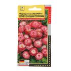 Семена Маргаритка F1 "Хабанера", Белая с красными кончиками, Дв, драже 5 шт. Семена Маргаритка F1 "Хабанера", Белая с красными кончиками, Дв, драже 5 шт.
