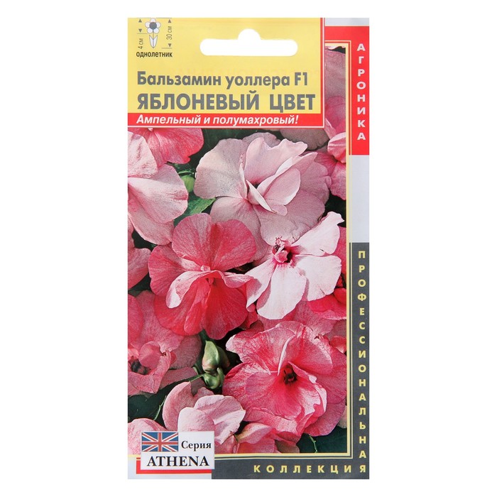 Семена Бальзамина Купить В Интернет Магазине