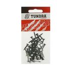 Саморезы по ГВЛ TUNDRA krep, 3.9х19 мм, 50 шт. Саморезы по ГВЛ TUNDRA krep, 3.9х19 мм, 50 шт.