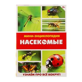 описание_картинки