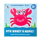 Игра развитие с нуля "Кто живет в море?" Игра развитие с нуля "Кто живет в море?"
