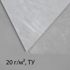 Материал укрывной, 10 х 1.6 м, плотность 20, УФ, белый Материал укрывной, 10 х 1.6 м, плотность 20, УФ, белый