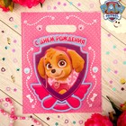 Щенячий патруль. Пакет подарочный полиэтиленовый Paw Patrol "С днем рождения! Скай", 23х29,5 см Щенячий патруль. Пакет подарочный полиэтиленовый Paw Patrol "С днем рождения! Скай", 23х29,5 см