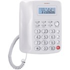 Телефон Texet TX 250, проводной, встроенный дисплей, белый Телефон Texet TX 250, проводной, встроенный дисплей, белый