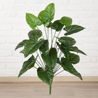 Куст искусственный "Эластика" Куст искусственный "Эластика"