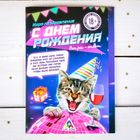 Игра-поздравление взрослая"С Днем Рождения!".вопрос-ответ. 22х15см Игра-поздравление взрослая"С Днем Рождения!".вопрос-ответ. 22х15см
