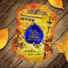 Значок "Воронеж" Значок "Воронеж"