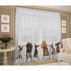 Тюль Собачки 145*270 +/-5 см 2 шт, шифон, п/э Тюль Собачки 145*270 +/-5 см 2 шт, шифон, п/э