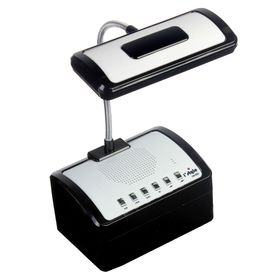 описание_картинки