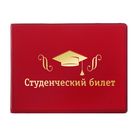 Обложка на студенческий "Шапка выпускника" Обложка на студенческий "Шапка выпускника"