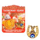Кошельковый талисман "Талисман удачи" Кошельковый талисман "Талисман удачи"