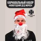 Карнавальный набор "Новогодний Дед Мороз": колпак, борода, нос Карнавальный набор "Новогодний Дед Мороз": колпак, борода, нос