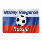 Магнит полимерный "Нижний Новгород" мяч, 9х6см Магнит полимерный "Нижний Новгород" мяч, 9х6см