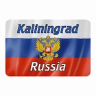 Магнит полимерный "Калининград" герб, 9х6см Магнит полимерный "Калининград" герб, 9х6см