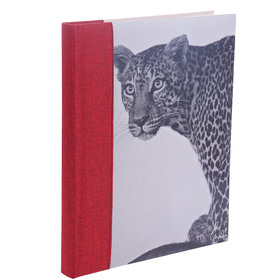 Проращиватель для кошачей травки