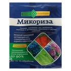 Микориза для саженцев Долина Плодородия биостимулятор роста корней. 50 гр Микориза для саженцев Долина Плодородия биостимулятор роста корней. 50 гр