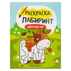 Раскраска-лабиринт. Цветной луг: книжка-раскраска Раскраска-лабиринт. Цветной луг: книжка-раскраска