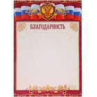 Благодарность "Универсальная" бордовая рамка, символика РФ Благодарность "Универсальная" бордовая рамка, символика РФ