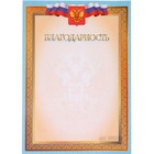 Благодарность "Универсальная" бирюзовая рамка, символика РФ Благодарность "Универсальная" бирюзовая рамка, символика РФ