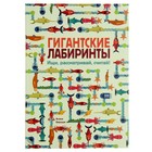 Гигантские лабиринты. Ищи, рассматривай, считай! Гигантские лабиринты. Ищи, рассматривай, считай!