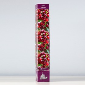 саженец черешни