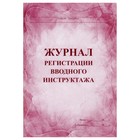 Журнал регистрации вводного инструктажа А4, 60 страниц, офсетная обложка 160г, блок из писчей бумаги 60г Журнал регистрации вводного инструктажа А4, 60 страниц, офсетная обложка 160г, блок из писчей бумаги 60г