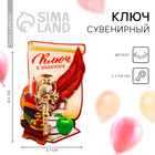 Ключ на подложке "Ключ к знаниям", 5 х 2,5 см Ключ на подложке "Ключ к знаниям", 5 х 2,5 см