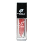 Блеск для губ Farres Velvet Lipgloss, тон 109, 8 мл Блеск для губ Farres Velvet Lipgloss, тон 109, 8 мл